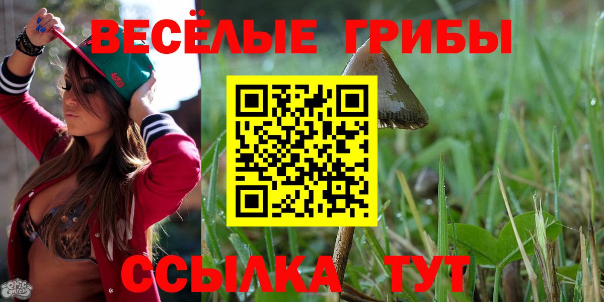 Псилоцибиновые грибы ЛСД  Галлюциногенные грибы ЛСД  Вход с VPN  Славгород 